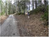 Trbovlje - Homič